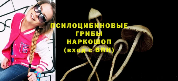 spice Киренск