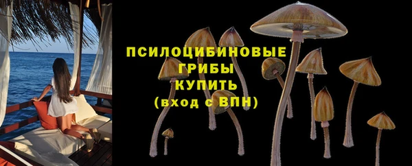 скорость Туринск