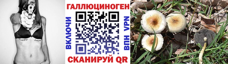 Псилоцибиновые грибы Magic Shrooms  Купить закладки  Карпинск 